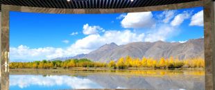 小間距l(xiāng)ed顯示屏未來的發(fā)展前景怎么樣？